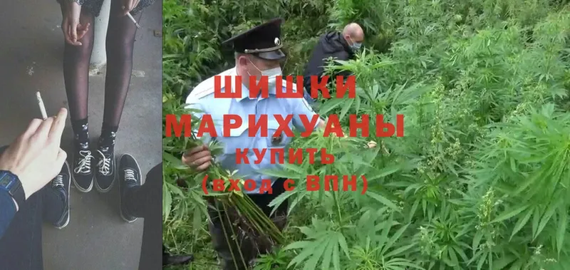 Каннабис THC 21%  мориарти клад  Анжеро-Судженск 